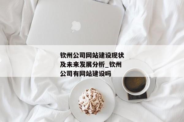 欽州公司網(wǎng)站建設(shè)現(xiàn)狀及未來發(fā)展分析_欽州公司有網(wǎng)站建設(shè)嗎
