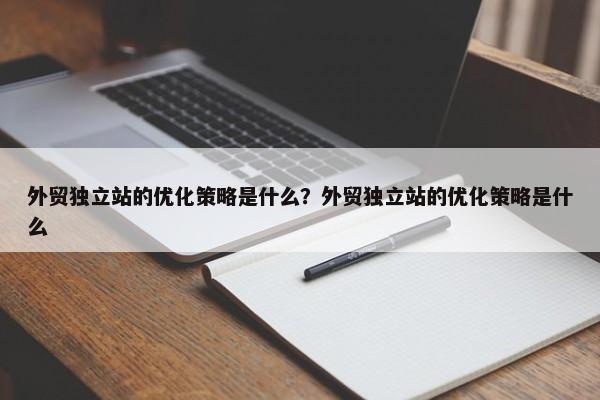 外貿(mào)獨立站的優(yōu)化策略是什么？外貿(mào)獨立站的優(yōu)化策略是什么
