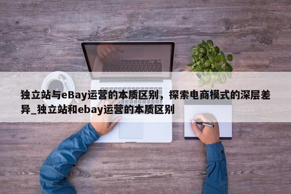 獨(dú)立站與eBay運(yùn)營(yíng)的本質(zhì)區(qū)別，探索電商模式的深層差異_獨(dú)立站和ebay運(yùn)營(yíng)的本質(zhì)區(qū)別