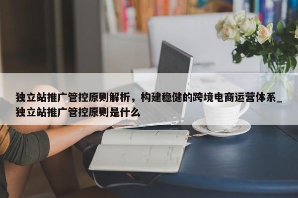 獨(dú)立站推廣管控原則解析，構(gòu)建穩(wěn)健的跨境電商運(yùn)營(yíng)體系_獨(dú)立站推廣管控原則是什么