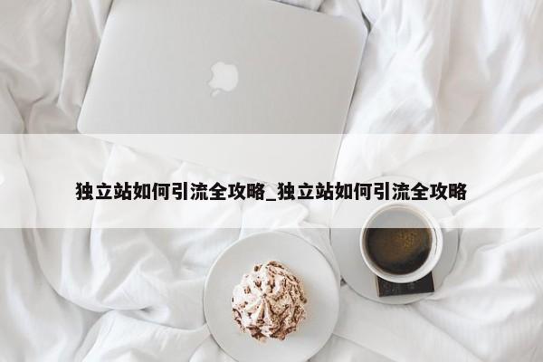 獨立站如何引流全攻略_獨立站如何引流全攻略