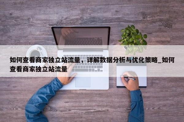 如何查看商家獨(dú)立站流量，詳解數(shù)據(jù)分析與優(yōu)化策略_如何查看商家獨(dú)立站流量