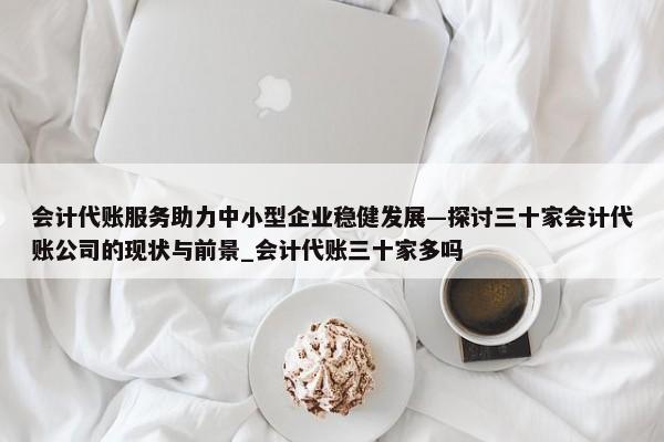 會(huì)計(jì)代賬服務(wù)助力中小型企業(yè)穩(wěn)健發(fā)展—探討三十家會(huì)計(jì)代賬公司的現(xiàn)狀與前景_會(huì)計(jì)代賬三十家多嗎