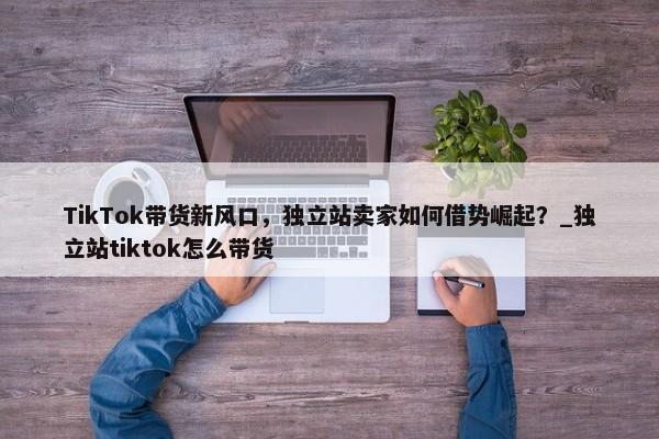 TikTok帶貨新風口，獨立站賣家如何借勢崛起？_獨立站tiktok怎么帶貨