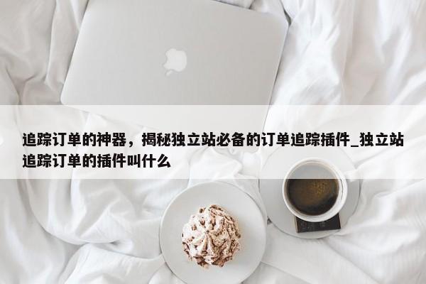追蹤訂單的神器，揭秘獨(dú)立站必備的訂單追蹤插件_獨(dú)立站追蹤訂單的插件叫什么