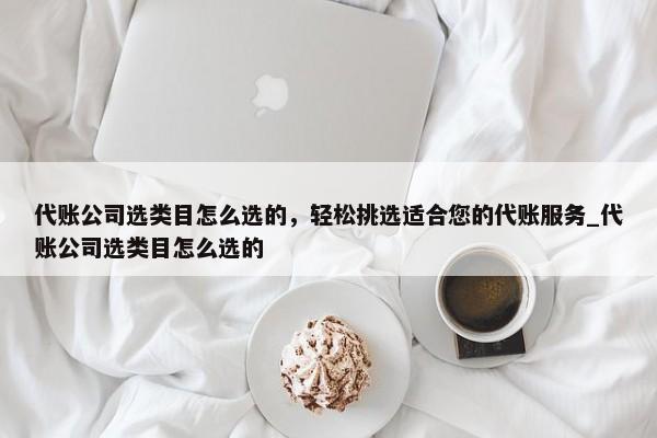代賬公司選類目怎么選的，輕松挑選適合您的代賬服務_代賬公司選類目怎么選的