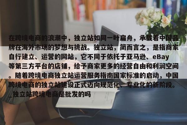 在跨境電商的浪潮中，獨(dú)立站如同一葉扁舟，承載著中國(guó)品牌在海外市場(chǎng)的夢(mèng)想與挑戰(zhàn)。獨(dú)立站，簡(jiǎn)而言之，是指商家自行建立、運(yùn)營(yíng)的網(wǎng)站，它不同于依托于亞馬遜、eBay等第三方平臺(tái)的店鋪，給予商家更多的經(jīng)營(yíng)自由和利潤(rùn)空間。隨著跨境電商獨(dú)立站運(yùn)營(yíng)服務(wù)指南國(guó)家標(biāo)準(zhǔn)的啟動(dòng)，中國(guó)跨境電商的獨(dú)立站建設(shè)正式邁向規(guī)范化、專業(yè)化的新階段。_獨(dú)立站跨境電商是批發(fā)的嗎