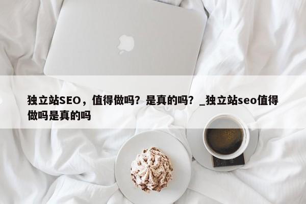 獨立站SEO，值得做嗎？是真的嗎？_獨立站seo值得做嗎是真的嗎