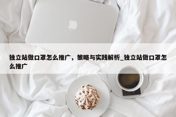 獨(dú)立站做口罩怎么推廣，策略與實(shí)踐解析_獨(dú)立站做口罩怎么推廣