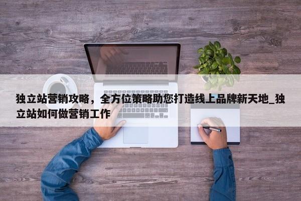 獨(dú)立站營銷攻略，全方位策略助您打造線上品牌新天地_獨(dú)立站如何做營銷工作