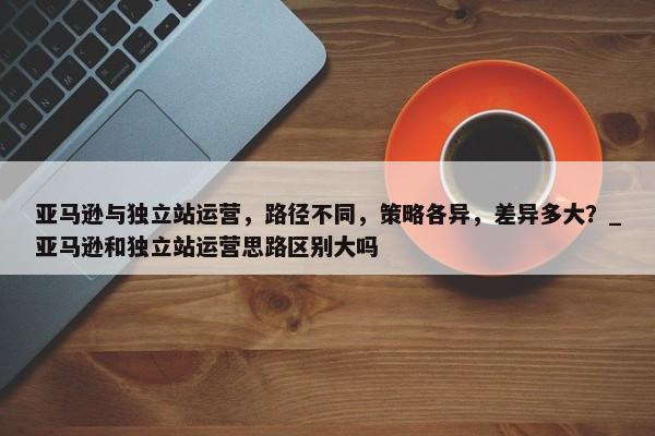 亞馬遜與獨(dú)立站運(yùn)營(yíng)，路徑不同，策略各異，差異多大？_亞馬遜和獨(dú)立站運(yùn)營(yíng)思路區(qū)別大嗎