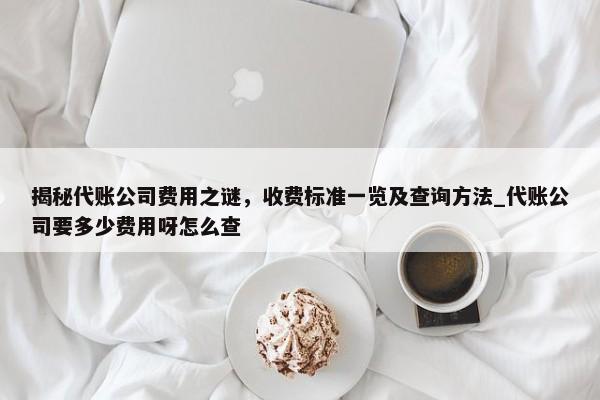 揭秘代賬公司費(fèi)用之謎，收費(fèi)標(biāo)準(zhǔn)一覽及查詢方法_代賬公司要多少費(fèi)用呀怎么查