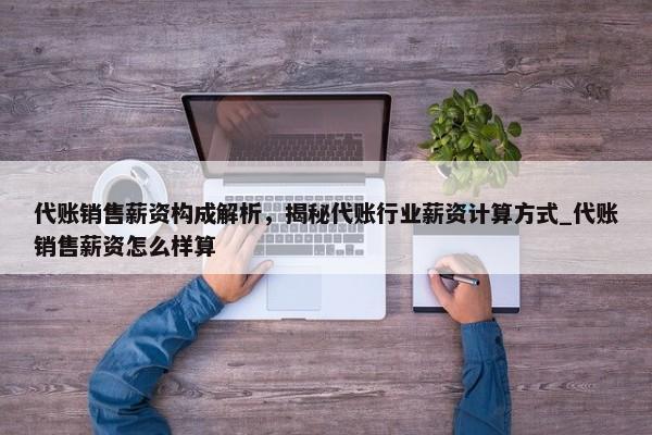 代賬銷售薪資構(gòu)成解析，揭秘代賬行業(yè)薪資計(jì)算方式_代賬銷售薪資怎么樣算