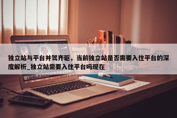 獨立站與平臺并駕齊驅(qū)，當(dāng)前獨立站是否需要入住平臺的深度解析_獨立站需要入住平臺嗎現(xiàn)在