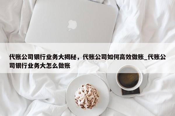 代賬公司銀行業(yè)務(wù)大揭秘，代賬公司如何高效做賬_代賬公司銀行業(yè)務(wù)大怎么做賬