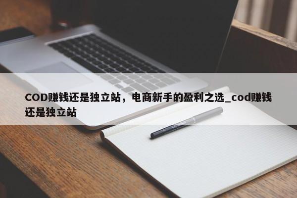 COD賺錢還是獨(dú)立站，電商新手的盈利之選_cod賺錢還是獨(dú)立站