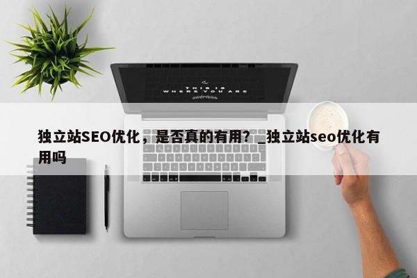 獨(dú)立站SEO優(yōu)化，是否真的有用？_獨(dú)立站seo優(yōu)化有用嗎