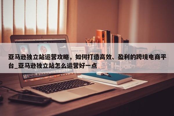 亞馬遜獨立站運營攻略，如何打造高效、盈利的跨境電商平臺_亞馬遜獨立站怎么運營好一點
