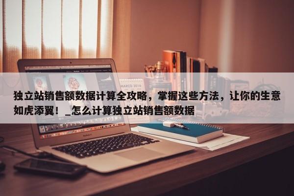 獨(dú)立站銷售額數(shù)據(jù)計(jì)算全攻略，掌握這些方法，讓你的生意如虎添翼！_怎么計(jì)算獨(dú)立站銷售額數(shù)據(jù)