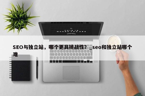SEO與獨立站，哪個更具挑戰(zhàn)性？_seo和獨立站哪個難