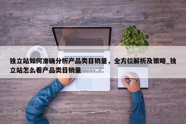 獨立站如何準確分析產(chǎn)品類目銷量，全方位解析及策略_獨立站怎么看產(chǎn)品類目銷量