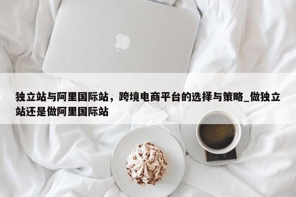 獨立站與阿里國際站，跨境電商平臺的選擇與策略_做獨立站還是做阿里國際站