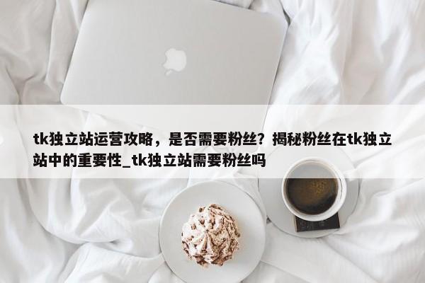 tk獨(dú)立站運(yùn)營攻略，是否需要粉絲？揭秘粉絲在tk獨(dú)立站中的重要性_tk獨(dú)立站需要粉絲嗎