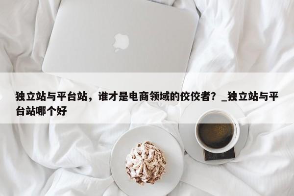 獨(dú)立站與平臺(tái)站，誰(shuí)才是電商領(lǐng)域的佼佼者？_獨(dú)立站與平臺(tái)站哪個(gè)好
