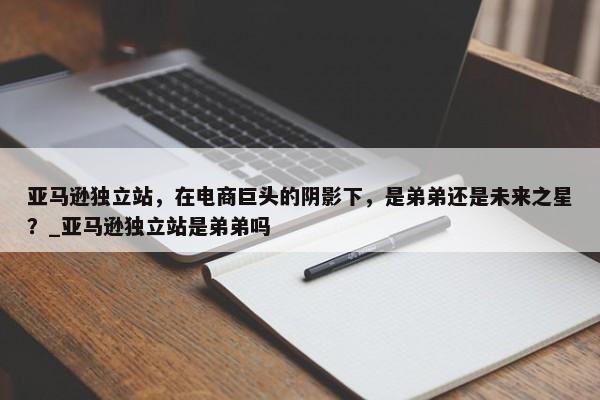 亞馬遜獨立站，在電商巨頭的陰影下，是弟弟還是未來之星？_亞馬遜獨立站是弟弟嗎
