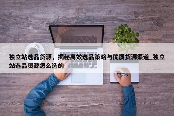 獨(dú)立站選品貨源，揭秘高效選品策略與優(yōu)質(zhì)貨源渠道_獨(dú)立站選品貨源怎么選的