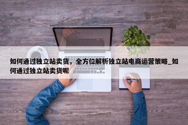 如何通過獨立站賣貨，全方位解析獨立站電商運營策略_如何通過獨立站賣貨呢