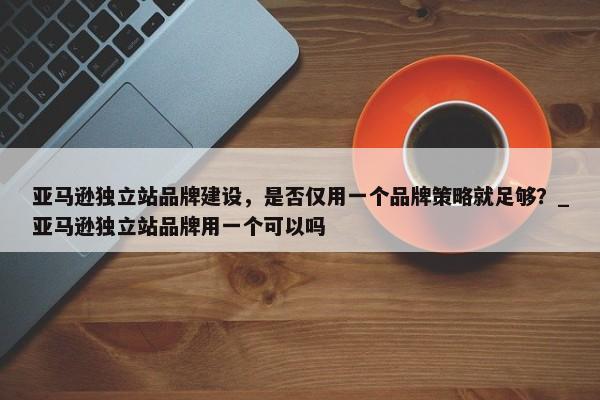 亞馬遜獨立站品牌建設(shè)，是否僅用一個品牌策略就足夠？_亞馬遜獨立站品牌用一個可以嗎