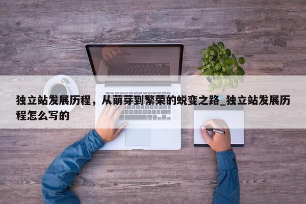 獨立站發(fā)展歷程，從萌芽到繁榮的蛻變之路_獨立站發(fā)展歷程怎么寫的