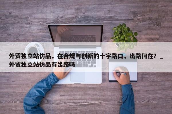 外貿(mào)獨(dú)立站仿品，在合規(guī)與創(chuàng)新的十字路口，出路何在？_外貿(mào)獨(dú)立站仿品有出路嗎