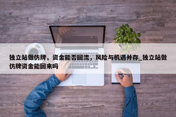 獨(dú)立站做仿牌，資金能否回流，風(fēng)險(xiǎn)與機(jī)遇并存_獨(dú)立站做仿牌資金能回來嗎