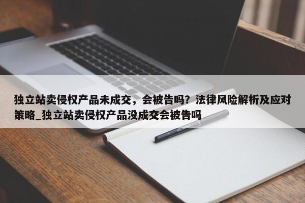 獨立站賣侵權產品未成交，會被告嗎？法律風險解析及應對策略_獨立站賣侵權產品沒成交會被告嗎