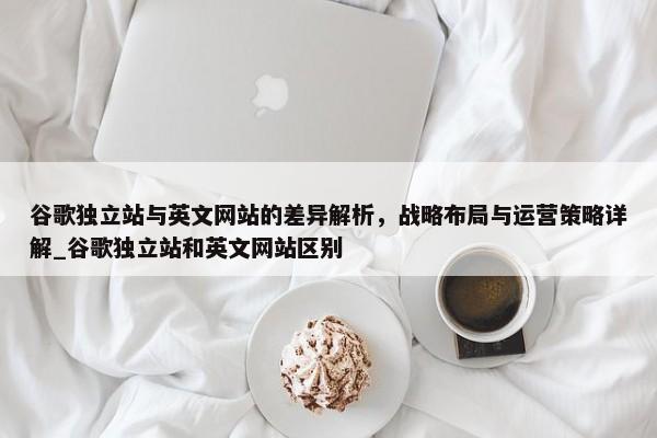 谷歌獨(dú)立站與英文網(wǎng)站的差異解析，戰(zhàn)略布局與運(yùn)營(yíng)策略詳解_谷歌獨(dú)立站和英文網(wǎng)站區(qū)別
