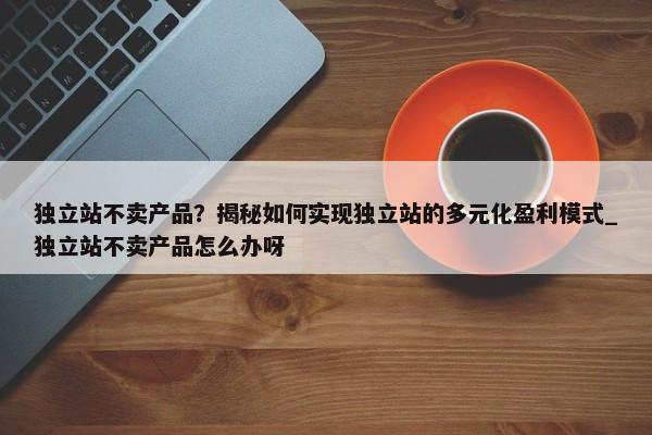 獨(dú)立站不賣產(chǎn)品？揭秘如何實(shí)現(xiàn)獨(dú)立站的多元化盈利模式_獨(dú)立站不賣產(chǎn)品怎么辦呀