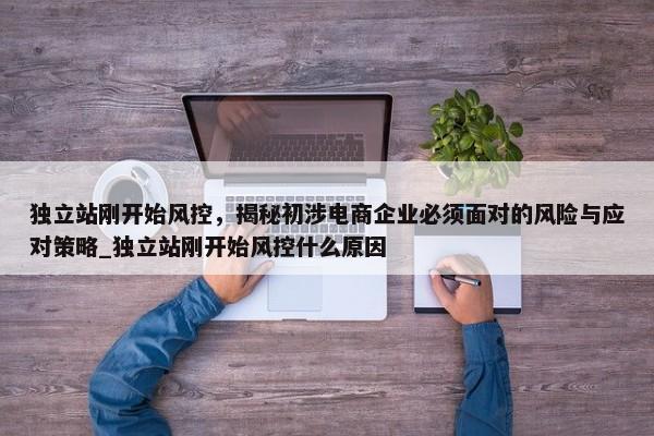 獨(dú)立站剛開始風(fēng)控，揭秘初涉電商企業(yè)必須面對的風(fēng)險(xiǎn)與應(yīng)對策略_獨(dú)立站剛開始風(fēng)控什么原因
