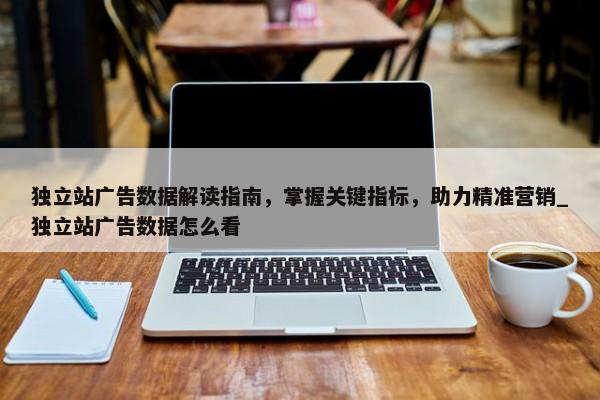 獨(dú)立站廣告數(shù)據(jù)解讀指南，掌握關(guān)鍵指標(biāo)，助力精準(zhǔn)營(yíng)銷(xiāo)_獨(dú)立站廣告數(shù)據(jù)怎么看