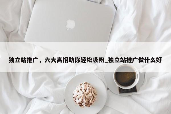 獨(dú)立站推廣，六大高招助你輕松吸粉_獨(dú)立站推廣做什么好