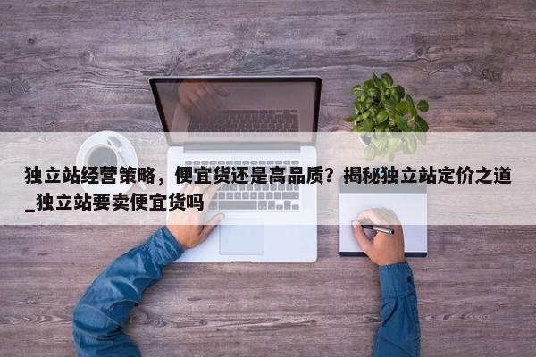 獨立站經(jīng)營策略，便宜貨還是高品質(zhì)？揭秘獨立站定價之道_獨立站要賣便宜貨嗎