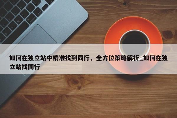 如何在獨(dú)立站中精準(zhǔn)找到同行，全方位策略解析_如何在獨(dú)立站找同行