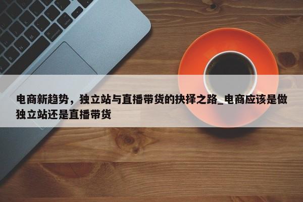 電商新趨勢，獨立站與直播帶貨的抉擇之路_電商應(yīng)該是做獨立站還是直播帶貨