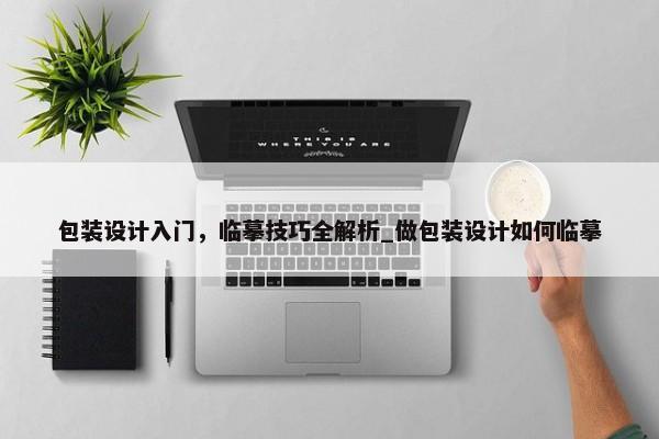 包裝設(shè)計(jì)入門，臨摹技巧全解析_做包裝設(shè)計(jì)如何臨摹