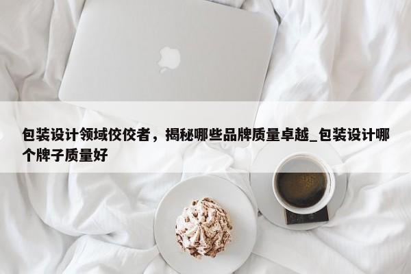 包裝設(shè)計(jì)領(lǐng)域佼佼者，揭秘哪些品牌質(zhì)量卓越_包裝設(shè)計(jì)哪個(gè)牌子質(zhì)量好
