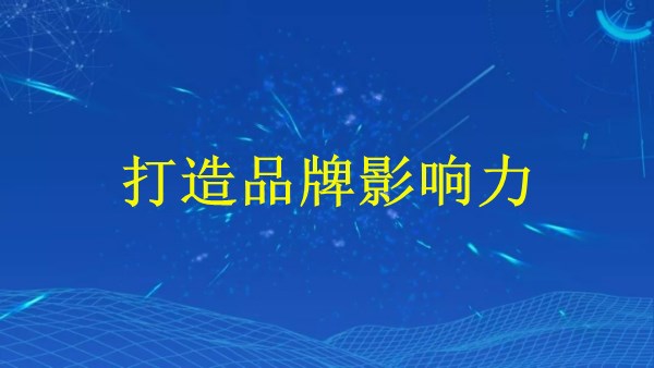廣州2024年：如何精準(zhǔn)運(yùn)營Tiktok賬號(hào)，打造品牌影響力