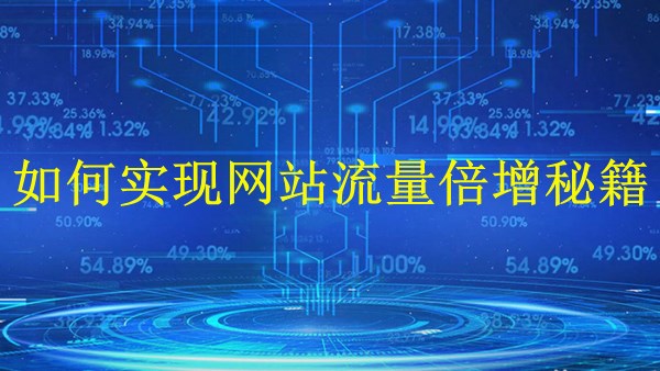 廣州SEO引流新策略：2024年如何實(shí)現(xiàn)網(wǎng)站流量倍增秘籍