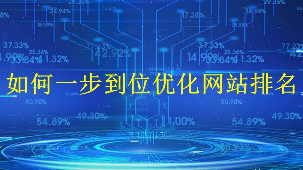 廣州SEO專家大解密：2024年如何一步到位優(yōu)化網(wǎng)站排名？