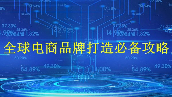 廣州外貿(mào)獨立站建站-2024年全球電商品牌打造必備攻略
